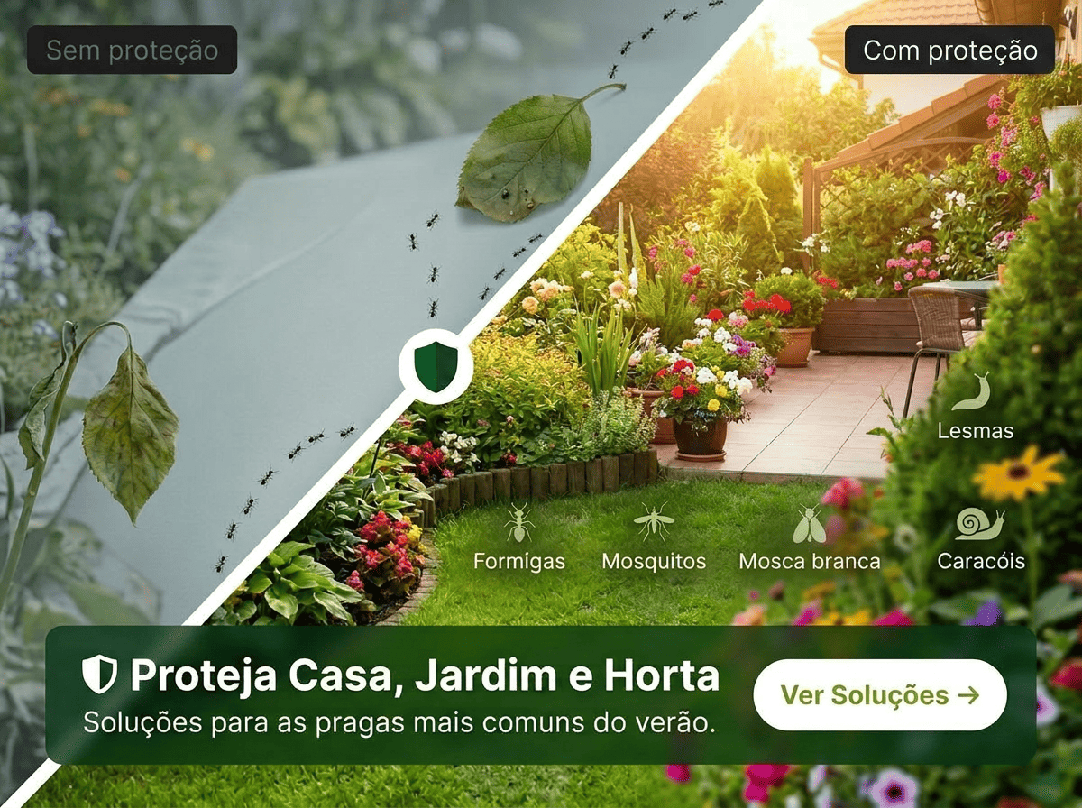 As Pragas n�o esperam pelo Ver�o