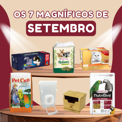Os 7 Magnficos de Setembro