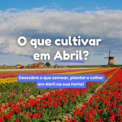 O que semear, plantar e colher em Abril?
