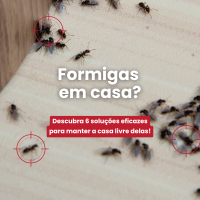 Formigas em casa?