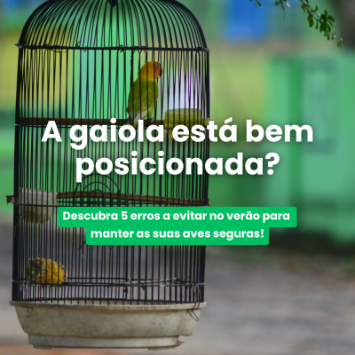 A gaiola est bem posicionada?