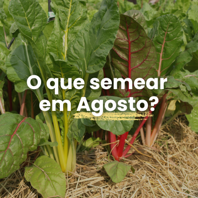 O que Semear e Plantar em Agosto?