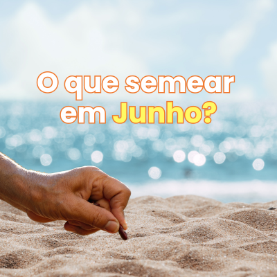 O que Semear e Plantar em Junho?