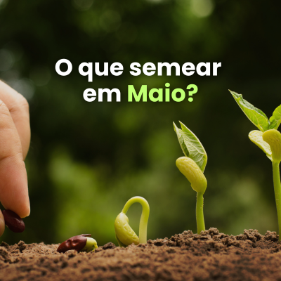 O que Semear e Plantar em Maio?