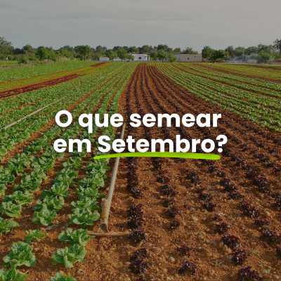 O que semear, plantar e colher em Setembro?