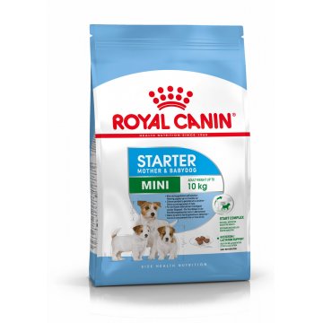 Royal Canin - Mini Starter 8kg
