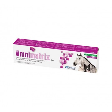 Omnimatrix 20gr
