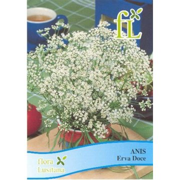 Aromticas - Anis Erva Doce