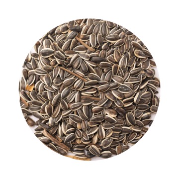 Girassol Raiado Medio 3kg