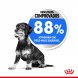 Foto 1: Royal Canin - Mini Light 1kg