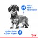 Foto 2: Royal Canin - Mini Light 1kg