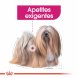 Foto 1: Royal Canin - Mini Exigent