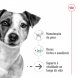 Foto 1: Royal Canin - Mini Ageing +12 1.5kg