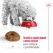 Foto 3: Royal Canin - Mini Ageing +12 1.5kg
