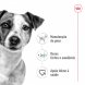 Foto 1: Royal Canin - Mini Adult 8kg