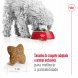 Foto 3: Royal Canin - Mini Adult 8kg