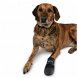 Foto 2: Walker - Botas em Neoprene para c�es S