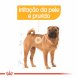 Foto 1: Royal Canin - Medium Dermacomfort 12kg