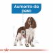 Foto 1: Royal Canin - Medium Light 12kg