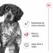 Foto 1: Royal Canin - Medium Adult 15kg