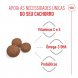 Foto 2: Royal Canin - Medium Puppy 4kg