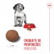 Foto 3: Royal Canin - Medium Puppy 4kg