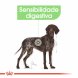 Foto 1: Royal Canin - Maxi Digestive Care