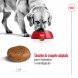 Foto 2: Royal Canin - Maxi Adult 5+ 4kg