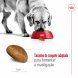 Foto 2: Royal Canin - Maxi Adult 15kg