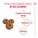 Foto 2: Royal Canin - Maxi Starter 4kg