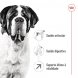 Foto 2: Royal Canin - Giant Adult
