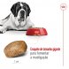 Foto 4: Royal Canin - Giant Adult