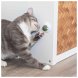 Foto 3: Bola de Catnip com suporte