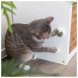 Foto 4: Bola de Catnip com suporte