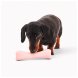 Foto 1: Beco - Treat Bone