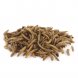 Foto 1: Pet Cup - Mealworms Boim 200Gr