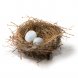 Foto 1: Pet Cup - Breed Plus Boion - 250Gr