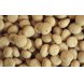 Foto 1: Psittacus - Alimento Manuten��o Alta Proteina 800gr
