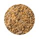 Foto 1: Pet Cup - Mistura Can�rios Especial Muda