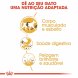 Foto 2: Royal Canin - Siamese Adult 2kg