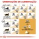 Foto 3: Royal Canin - Siamese Adult 2kg
