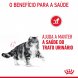 Foto 2: Royal Canin - Urinary Care 400Gr.