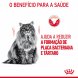 Foto 2: Royal Canin - Dental Care 400Gr.