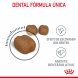 Foto 3: Royal Canin - Dental Care 400Gr.
