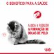 Foto 2: Royal Canin - Hairball Care 4kg