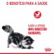 Foto 2: Royal Canin - Digestive Care 400Gr.