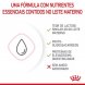 Foto 2: Royal Canin - Babycat Milk