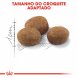 Foto 3: Royal Canin - Sterilised 7+ 400Gr.