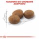 Foto 3: Royal Canin - Sterilised 37 400Gr.