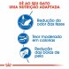 Foto 2: Royal Canin - Indoor 27 10kg